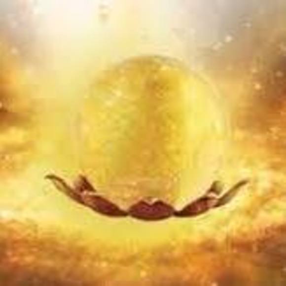 Meet your Posher, Deborah - Picture 1 of 1